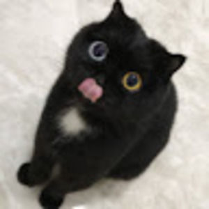 Meet your Posher, Leland